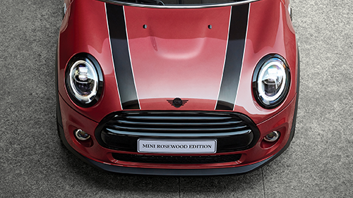 MINI ROSEWOOD EDITION – BONNET STRIPES